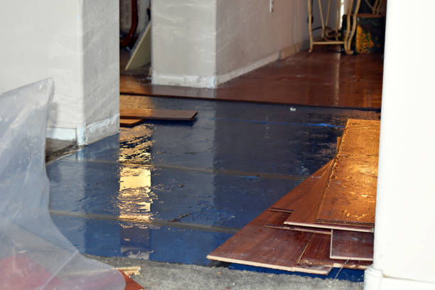 Professional Sewage Cleanup technician working in Tigerton, WI